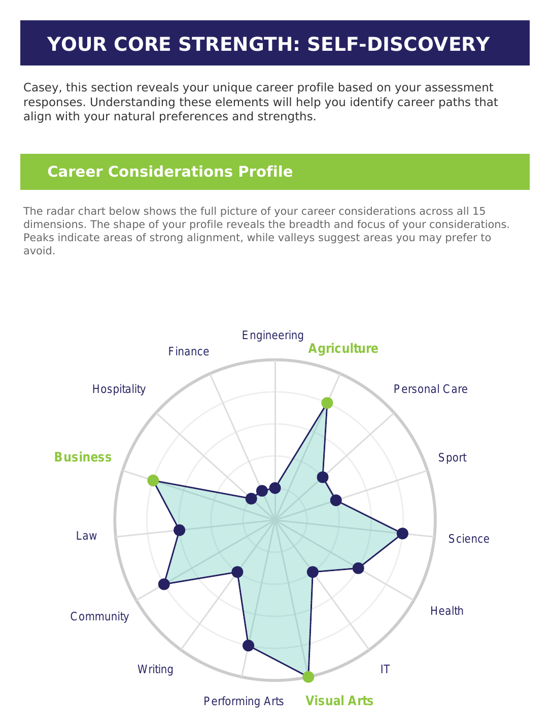 Sample Career Compass report preview